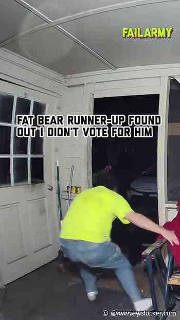Trust me you do NOT want to anger a fat bear #fatbearweek #bears #bearattack #securitycamera #fail
