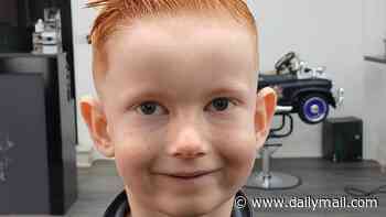 Pictured: Boy, 6, killed when he was hit by a Ford Transit tipper outside his home after he asked to go for a bike ride