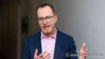 New Greens leader: No weapons for Ukraine, curtail the US alliance