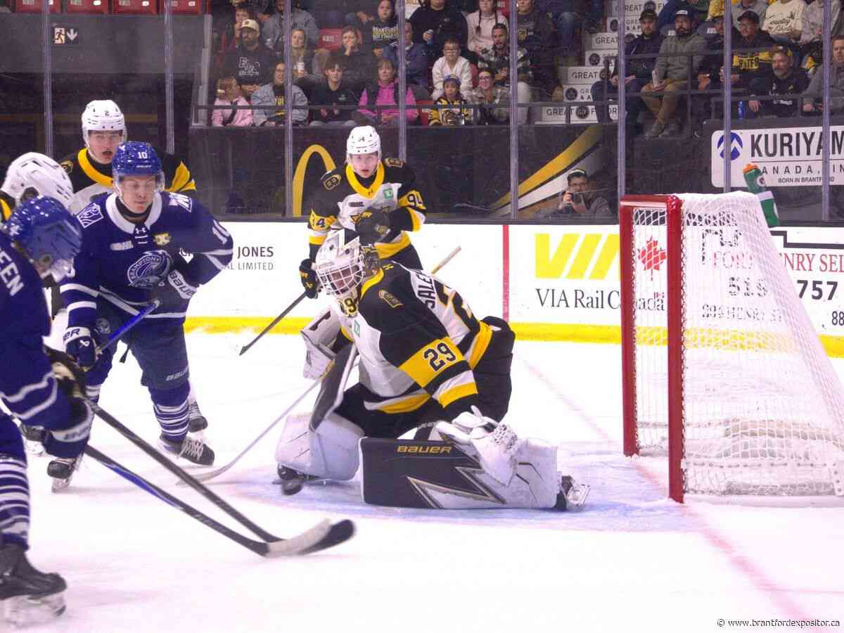 Brantford Bulldogs goalie Vilmer Salen Forsberg continues his hot play