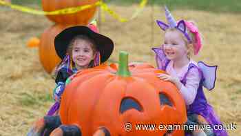 Family friendly Halloween activities in Yorkshire 2026: From spooky trails, Halloween cinema to adventure days out