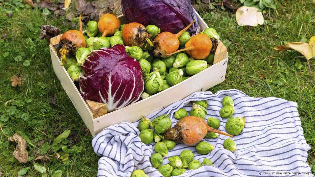 Alte Handtücher gehören nicht in den Müll – 6 geniale Einsätze für Garten und Zimmerpflanzen
