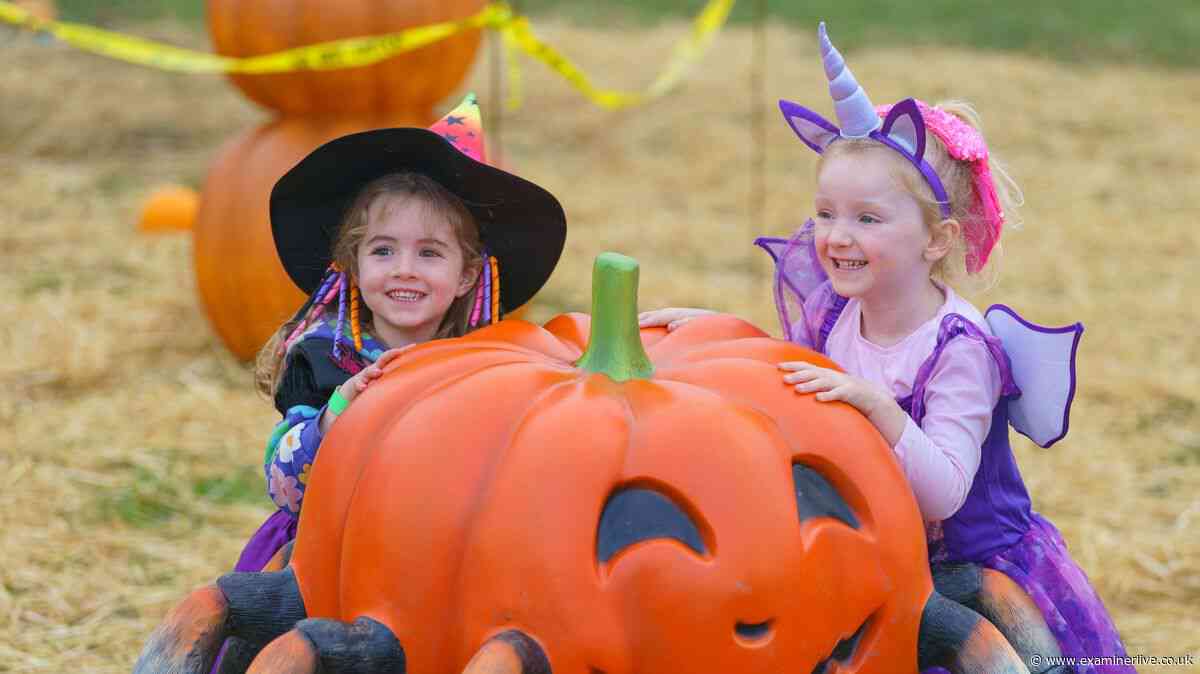 Family friendly Halloween activities in Yorkshire 2026: From spooky trails, Halloween cinema to adventure days out