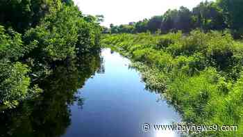 Sarasota County invests $25 million into restoring Alligator Creek