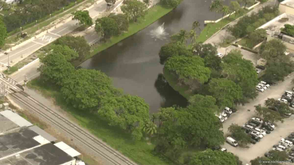 Deputies investigating after over a dozen ducks found dead at Pompano Beach pond