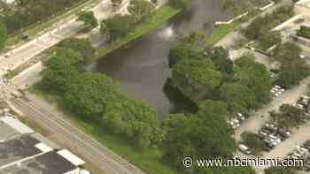 Deputies investigating after over a dozen ducks found dead at Pompano Beach pond