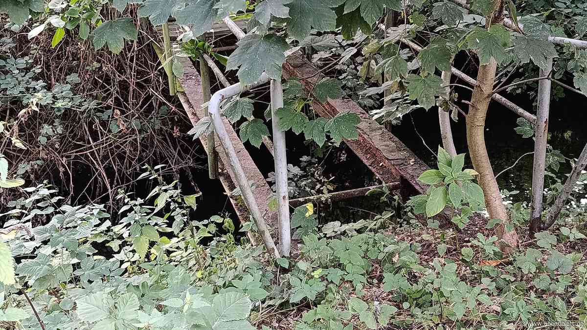 Gefahr für Kinder? Brückenfragmente am Bille-Wanderweg sollen abgerissen werden