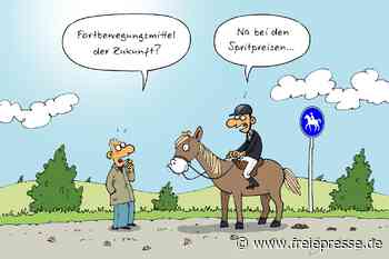Satire zum Wochenende: Wir Sparfüchse reiten auf Pferderücken