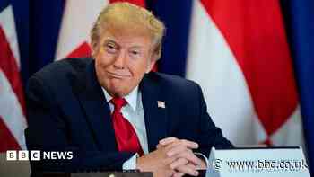 Trump's AI rebrand causes 'unprecedented' demand for Slovenian website names