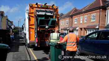Bins will 'never be collected' if homeowners fail to do one thing