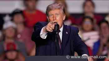 Trump announces $100 checks will be sent to 20 million seniors 'immediately' - find out if you're eligible