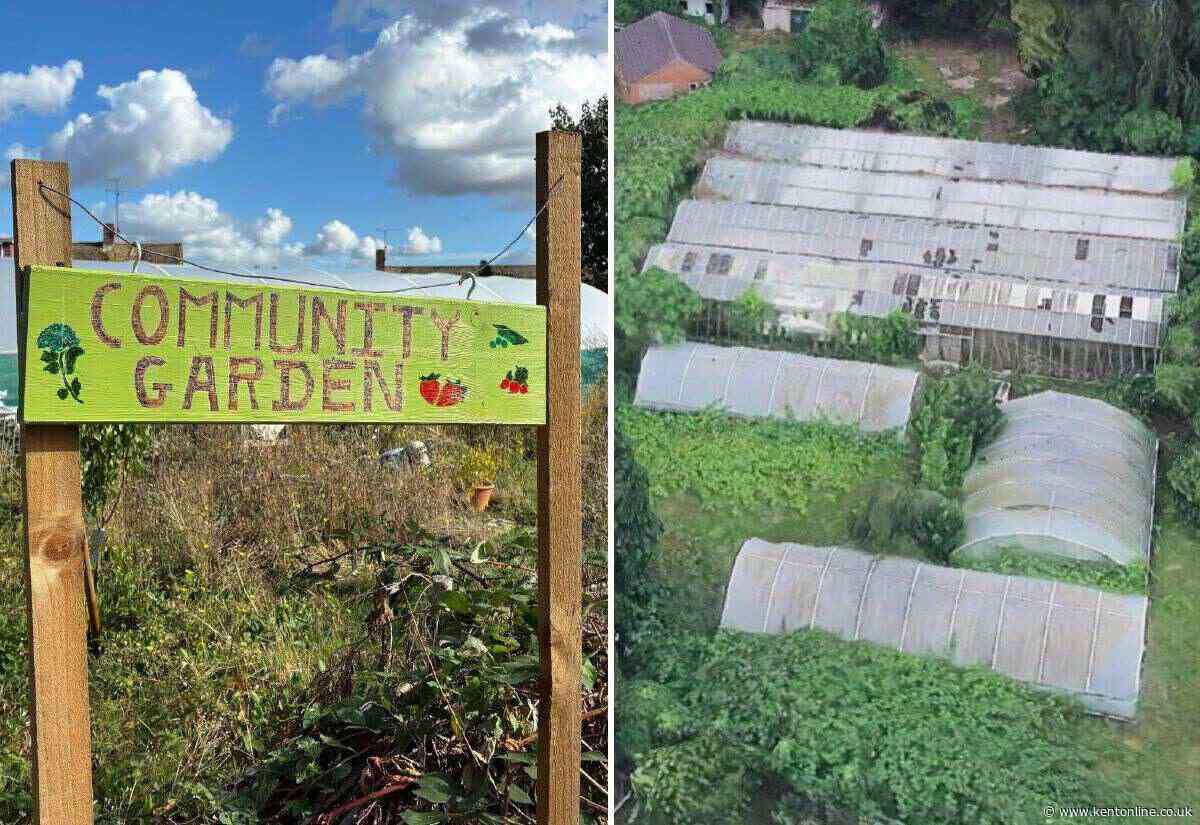 ‘It’s a marvellous place’: How volunteers transformed abandoned site in just one year