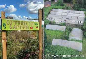 ‘It’s a marvellous place’: How volunteers transformed abandoned site in just one year