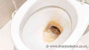 Remove unsightly brown toilet stains without any strong chemicals
