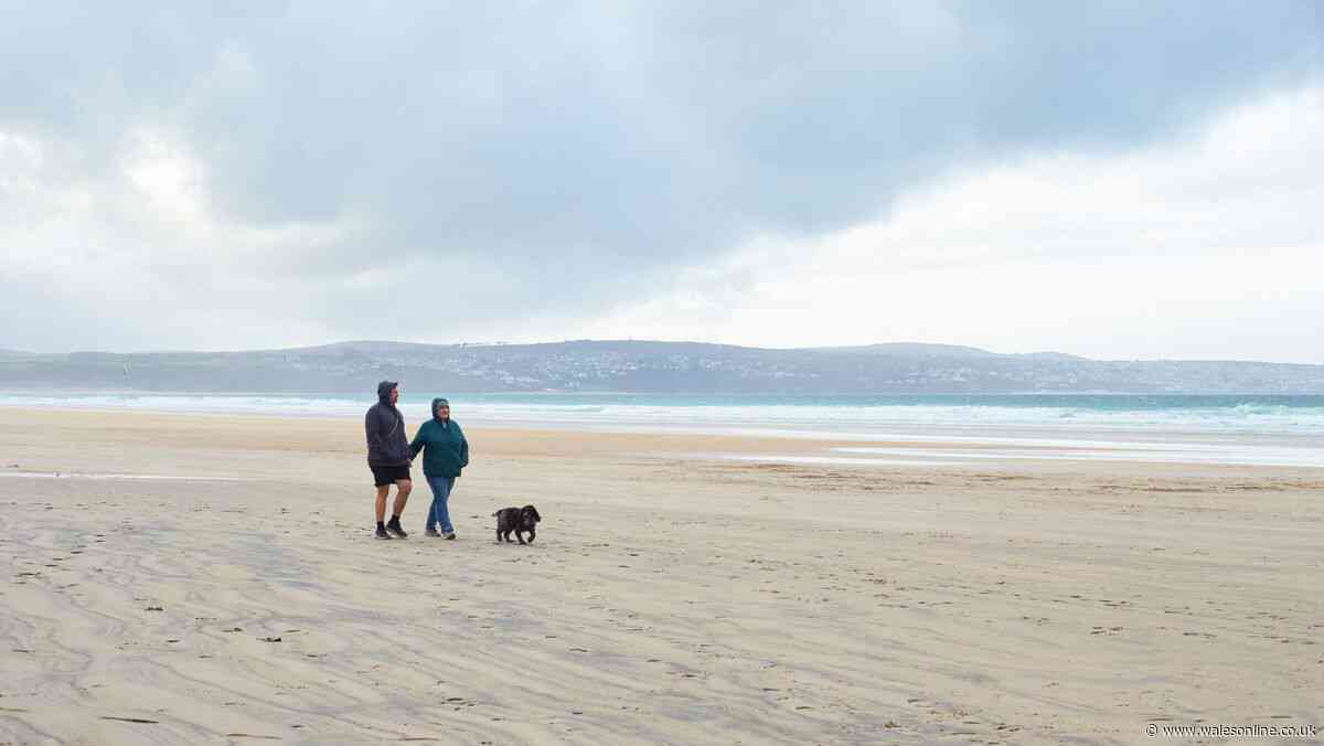 Dog ban lifted on beaches across Wales this weekend - full list