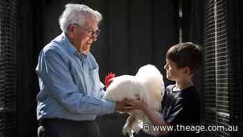 The Age photos of the week, October 3, 2026