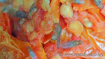 Splash £1 ingredient around windows keeps fruit flies out of the kitchen
