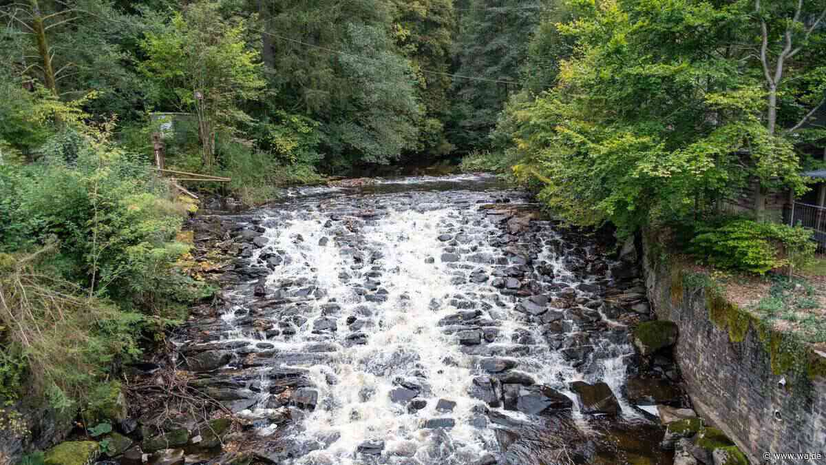 Wanderweg führt durch romantisches Ruhrtal: Endlose Wiesenlandschaft mit etlichen Weitblicken