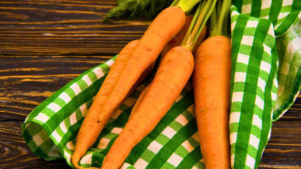 Carrots will stay fresh '10 times longer' if stored alongside 1 simple kitchen item