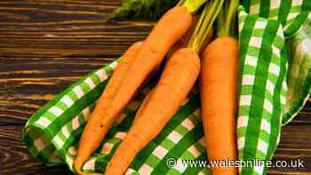 Carrots will stay fresh '10 times longer' if stored alongside 1 simple kitchen item