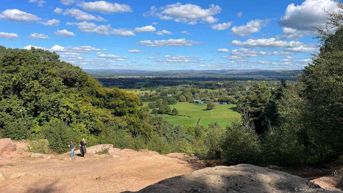 The Cheshire woodland walk ending with a tearoom you must do this autumn