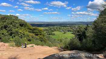 The Cheshire woodland walk ending with a tearoom you must do this autumn