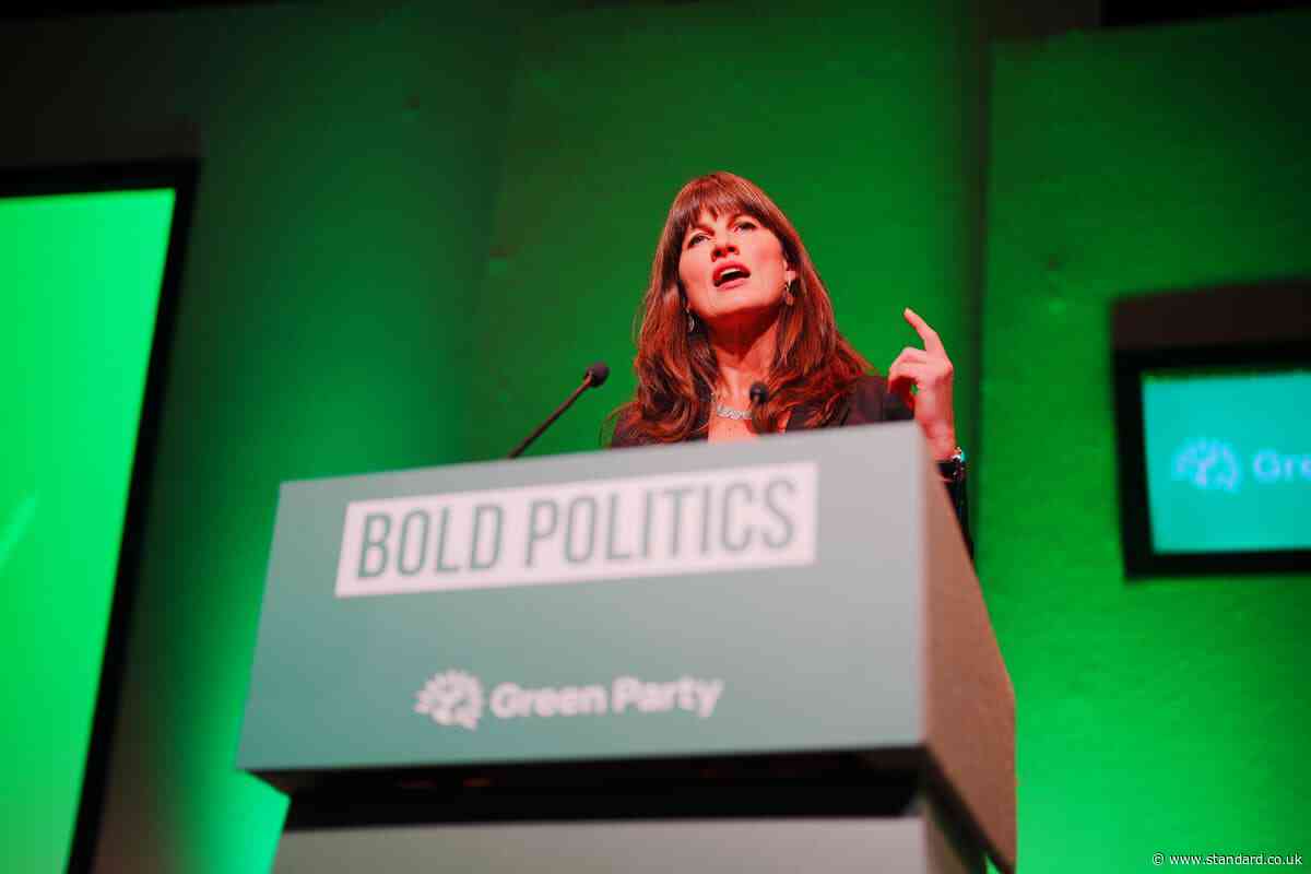 Water companies should be nationalised immediately, Greens to say
