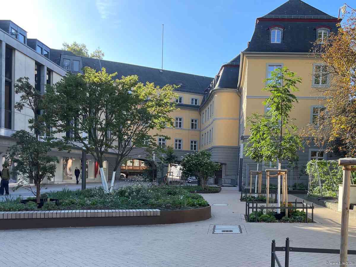 26 Maßnahmen zur Klimaanpassung bei Hitze in Bonn