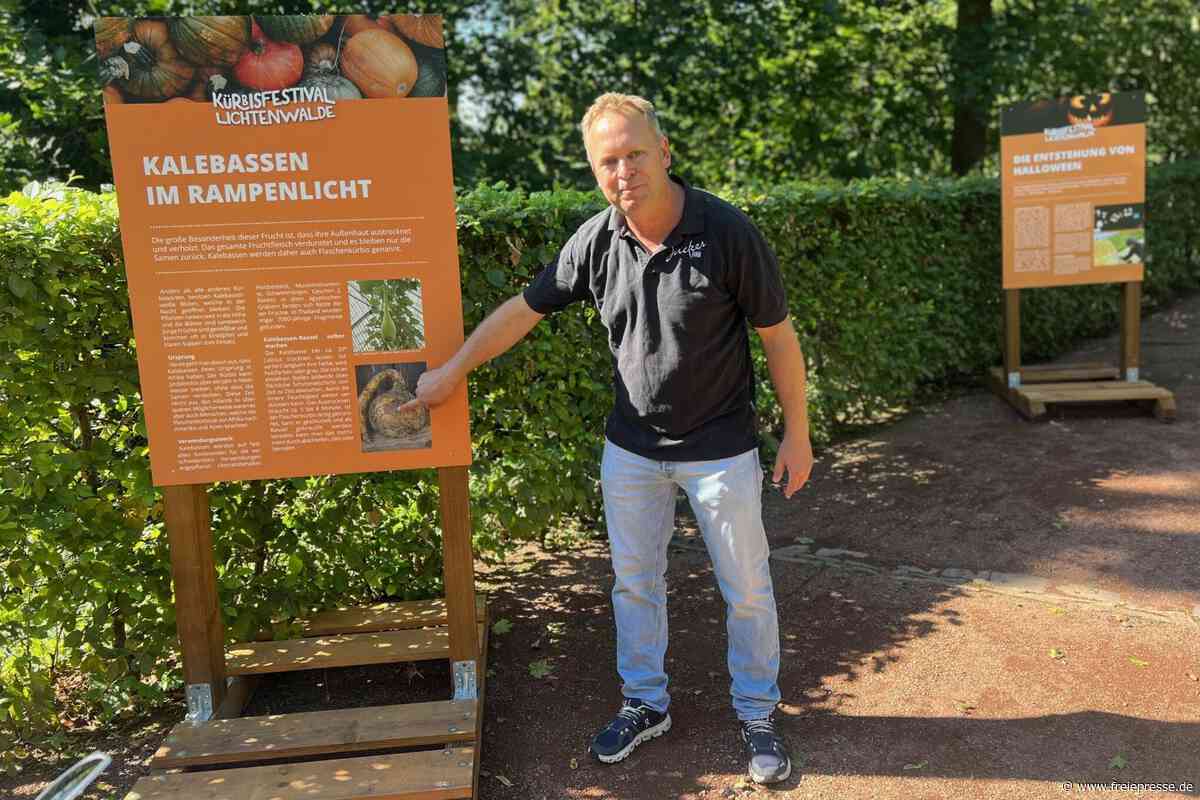 Kürbisfestival in Lichtenwalde: Warum der Kürbis zum Publikumsliebling wird
