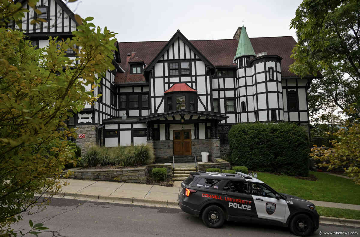 DA did not review witness statements and other evidence Cornell police collected in alleged gang rape of student