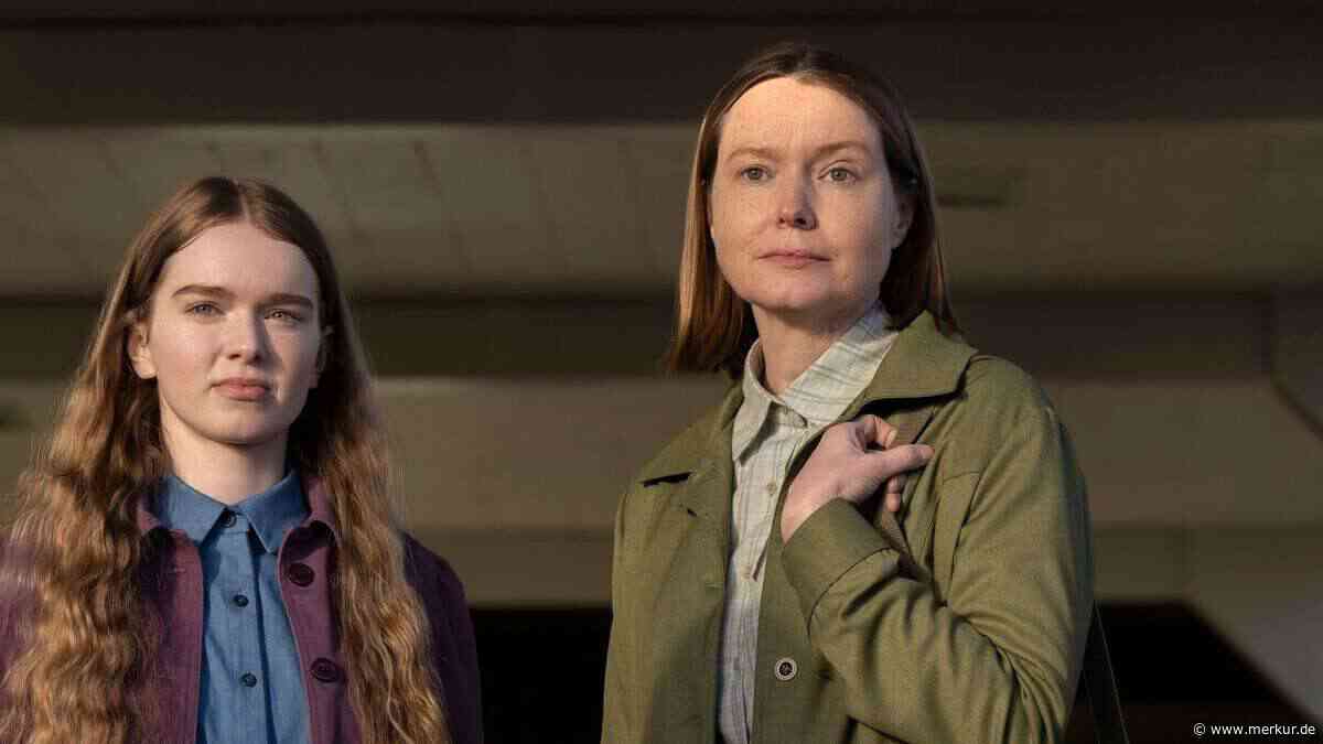 Stephen Kings Romandebüt neu aufgelegt: Das sind die Streaming-Tipps der Woche