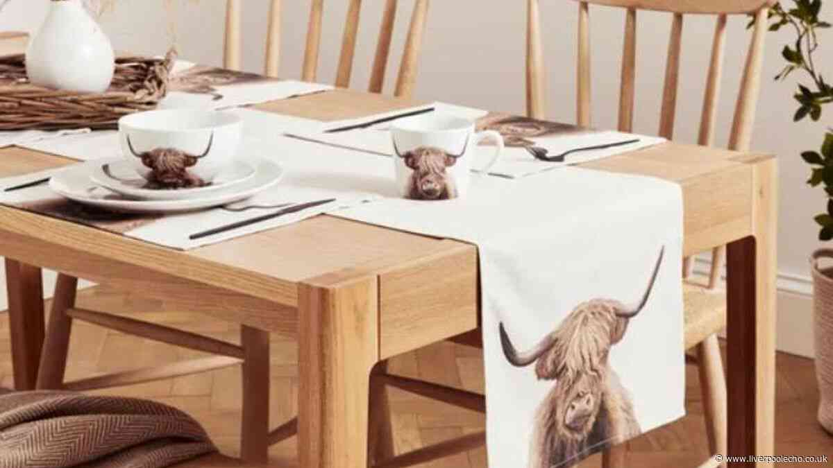 Dunelm's 'gorgeous' Highland Cow 12-piece dinner set falls from £30 to £14.50