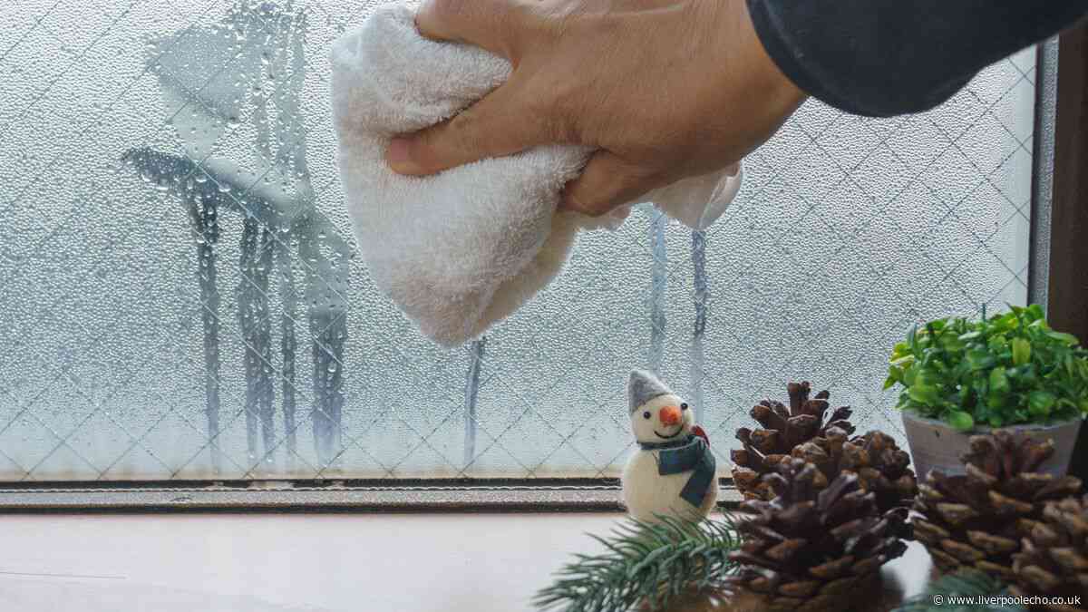 Window expert's German Stossluften trick 'clears condensation in 3 minutes'