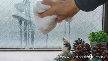 Window expert's German Stossluften trick 'clears condensation in 3 minutes'