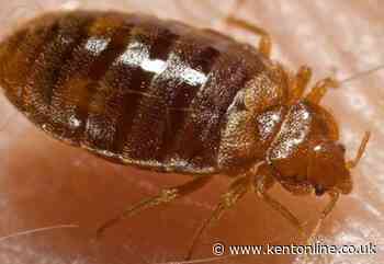 Kent trains cancelled after bedbugs found