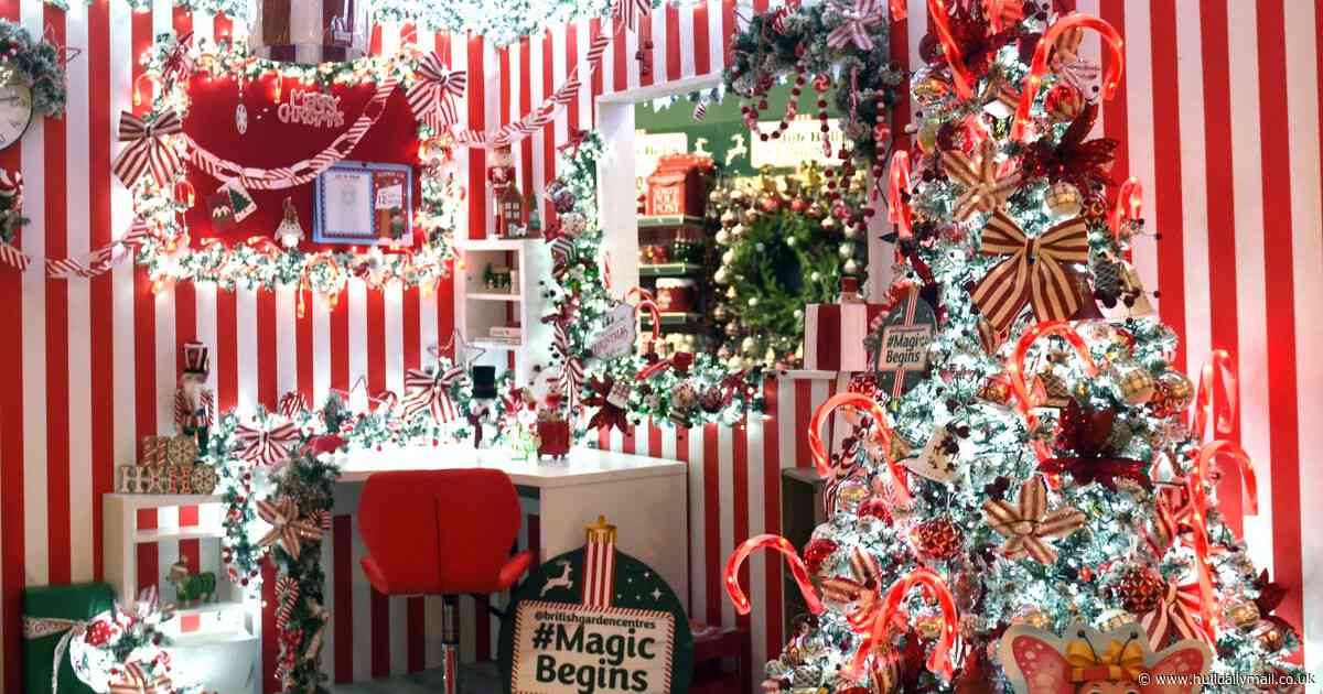 It's the most wonderful time of the year! Christmas has arrived at Brigg Garden Centre