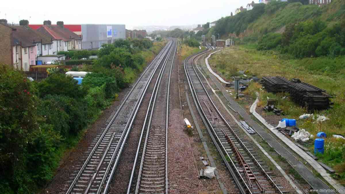 Trains cancelled and carriages sealed up over BED BUG infestation