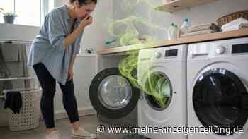 Wenn die Waschmaschine stinkt: Diese Schritte helfen wirklich gegen den Muff
