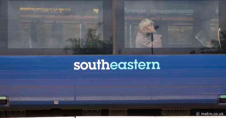 Trains cancelled after bedbugs spotted inside carriages