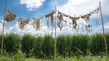 Swiss scientist soils underpants, wins silly science prize
