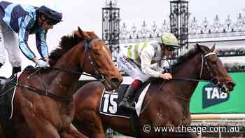 ‘Do you want the filtered version?’ Trainer’s head in a spin after Melham’s close call