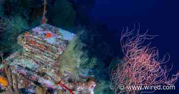 A Decade-Long Experiment Is Unlocking the Mysteries of the Ocean’s ‘Deep Reefs’