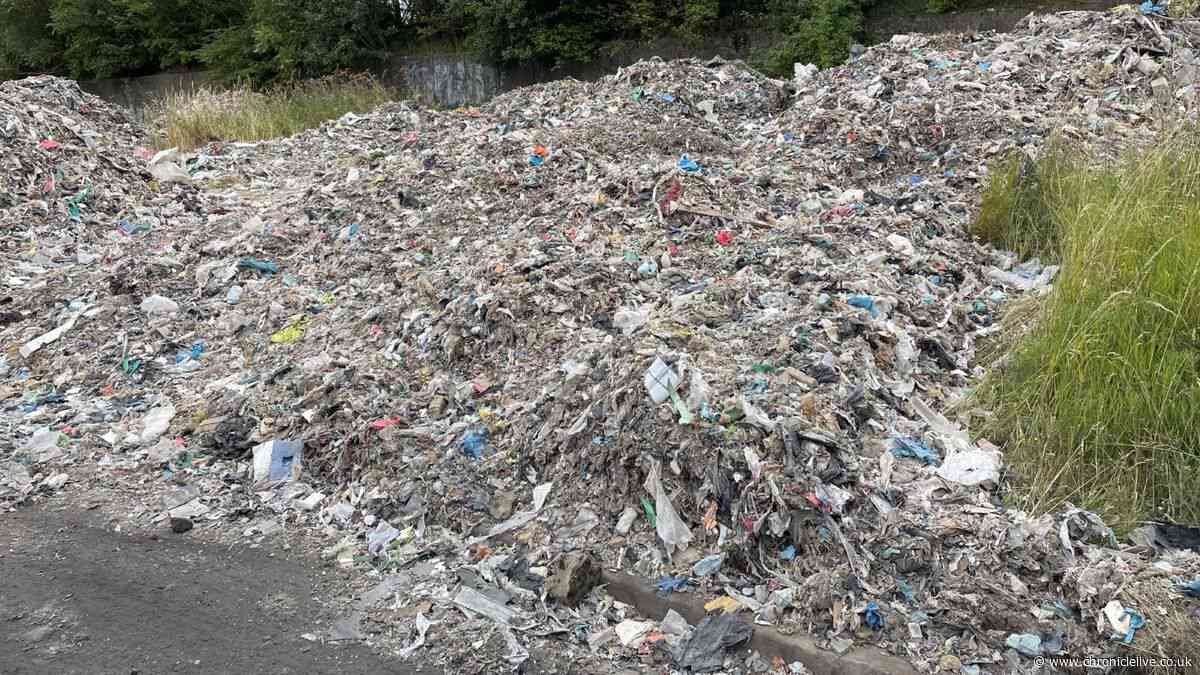 Inside illegal North East dumping sites where residents have to deal with horrific smell
