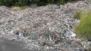 Inside illegal North East dumping sites where residents have to deal with horrific smell