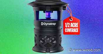 Best Mosquito Repellents for Your Yard: What Works and What Doesn’t (2026)