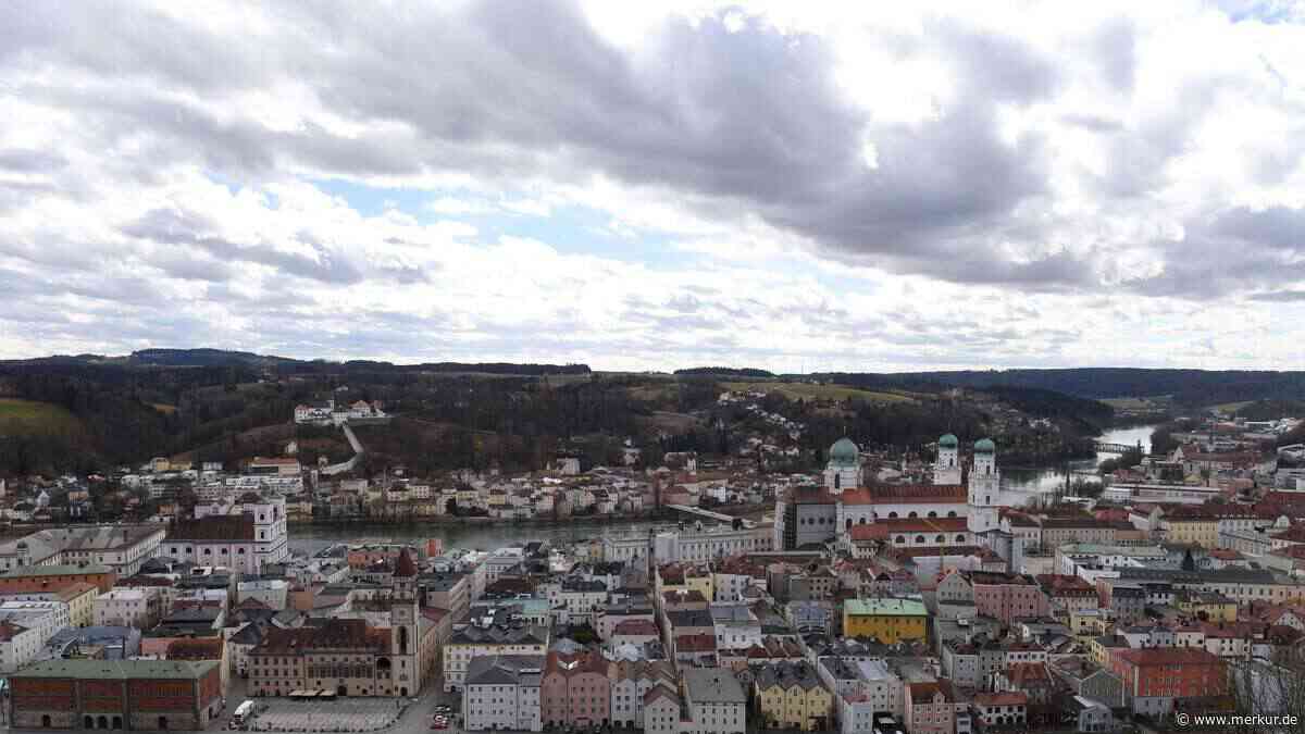 Frachtschiff rammt Fels auf der Donau – Einsatzkräfte wollen Umweltschäden verhindern