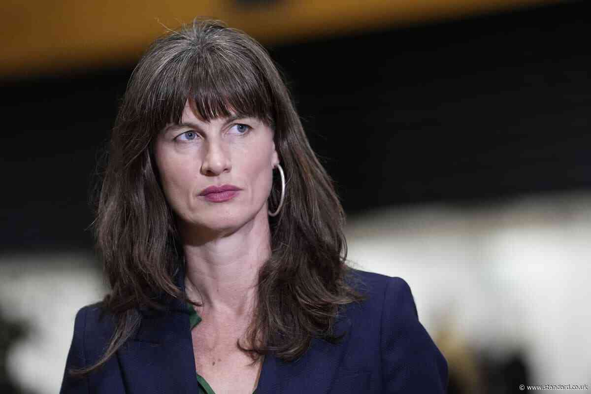 AI tech could be nationalised, Green Party deputy leader suggests