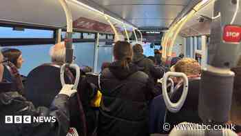 More free buses for some passengers - what will it mean for you?