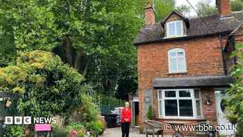 'It's like living in the woods' - residents call for cull of 60ft trees