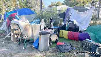 City of Saskatoon cancels in-person count of unsheltered people over safety concerns